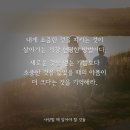 뚜비두밥