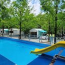 치악신림오토캠핑장 이미지