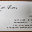 엘캘리플라워