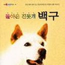 돈지백구마을 이미지