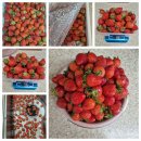 달을보는농부 이미지