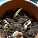 화원농장1 이미지