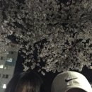삼산로 45번길 | 4월 일기