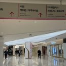 스템서초KB | [삼성역/코엑스]분위기 좋은 카페 추천 :: 스템커피(내돈내산)
