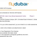 플라이두바이 UAE 어세스먼트 면접 후기, 그리고 파이널 불참..