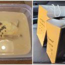 백세식당 이미지