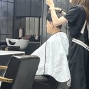 파티쉐안동현 이미지