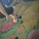 (주)육쌈 이미지