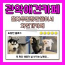 혼자두면 장판뜯어서 차린 개카페 | [혼자두면장판뜯어서차린개카페] 또 가고 싶어서 또 간 개 카페