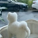 러블리댕 이미지