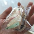 방배천로16길 18 (1) | 이게 무야 ㅠㅠ 너무 기여워