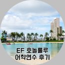 하와이어학연수 후기 - 한 걸음 더 내딛을 수 있는 자신을 발견하다!