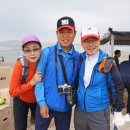 마시안해수욕장 Daum카페