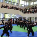 타이거합기도 이미지