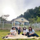 스테이 댕댕 이미지