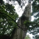 장산제일약수터 | [부산 해운대] 조망이 빼어난 장산(해발 634m)