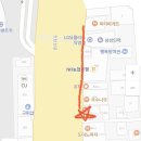 신탄진고네거리 | 2024 대청호대덕뮤직페스티벌 솔직후기 (feat.내년에도...가려나?)