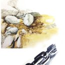 영원한미소&황금박쥐미술만화 이미지