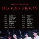 투어 문(TOUR MOON) 이미지