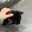 펫홈 반려동물용품백화점 이미지