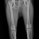 검단이담동물의료센터 이미지