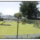 마한애견 이미지