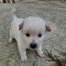 야베스하우스 이미지