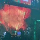 유정선 | SVL 몰아보기