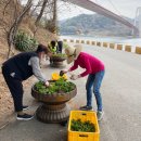 신노량 이미지