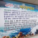 고흥바다장어 이미지