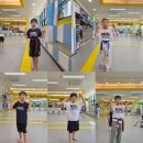 도담 꿈의 태권도장 이미지