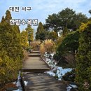 [대전/서구] 한밭수목원 - 대전 나들이 코스 가족, 연인과 힐링 되는 산책 명소