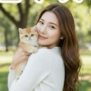 강아지분양 고양이분양 컴투펫 원주점 네이버블로그