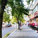 서광구제