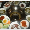 유명갈매기 이미지