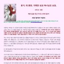 카넬라 이미지