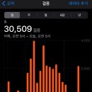 경주이용원 | 1101 @경주황오동 일대 / 황오동카니발