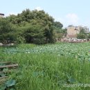 수완1제 이미지