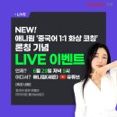 애니림