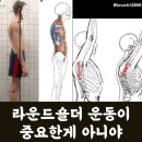 브레인피트니스 이미지