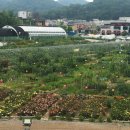 옥길농장 이미지