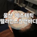 웰라인스킨앤바디