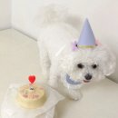 간식주까 이미지