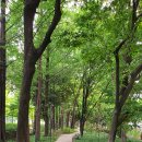 카페라미아 - 동구 대영로 265 | 카페라미아