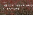 11월 가볼만한곳 10곳 펌글입니다 이미지