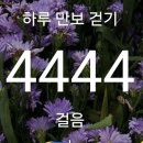 모캄보용흥점