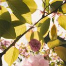 센스모 - 송파구 백제고분로 379 | 센스모