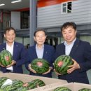 진안군농협조합공동사업법인 | 진안군, 진안고원 명품 수박 본격 출하