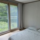 포레스트 월악 이미지