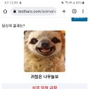 아까 했던 동물테스트 이미지